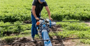 drip-irrigation-system-water-saving-drip-irrigation-system-being-used-young-carrot-field-worker-opens-tap